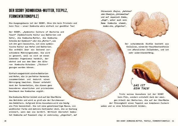 Produktbild: Kombucha do it yourself