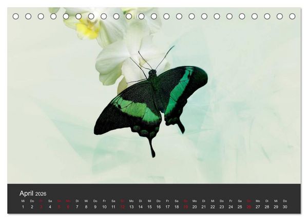 Produktbild: Schmetterlinge (Tischkalender 2026 DIN A5 quer), CALVENDO Monatskalender