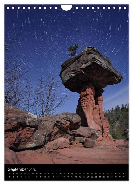 Produktbild: NATURWUNDER PF&Auml;LZERWALD (Wandkalender 2026 DIN A4 hoch), CALVENDO Monatskalender