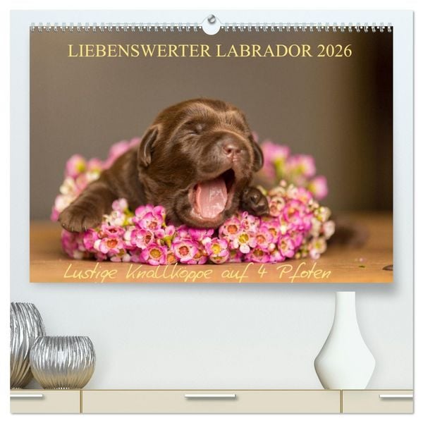 Produktbild: Liebenswerter Labrador 2026 (hochwertiger Premium Wandkalender 2026 DIN A2 quer), Kunstdruck in Hochglanz