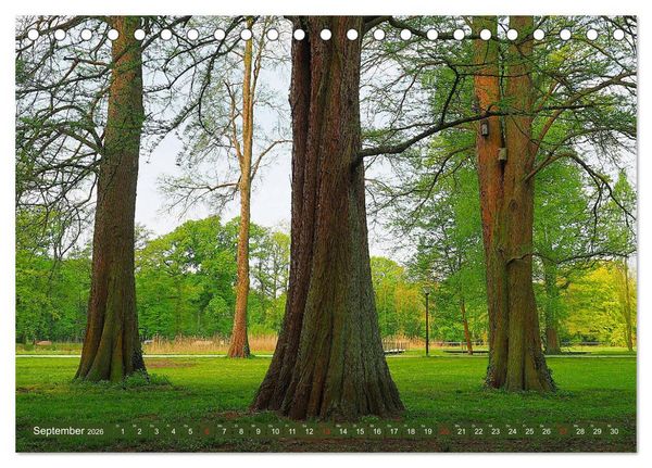 Produktbild: Impressionen - G&uuml;tersloh entlang der Dalke (Tischkalender 2026 DIN A5 quer), CALVENDO Monatskalender