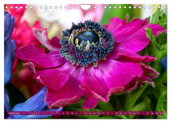 Produktbild: Blumen - Eine bunte Mischung (Wandkalender 2026 DIN A4 quer), CALVENDO Monatskalender