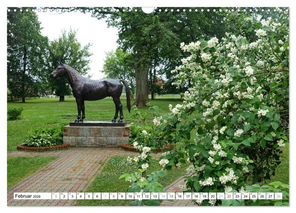 Produktbild: Mythos Trakehnen - Paradies ohne Pferde (Wandkalender 2026 DIN A3 quer), CALVENDO Monatskalender