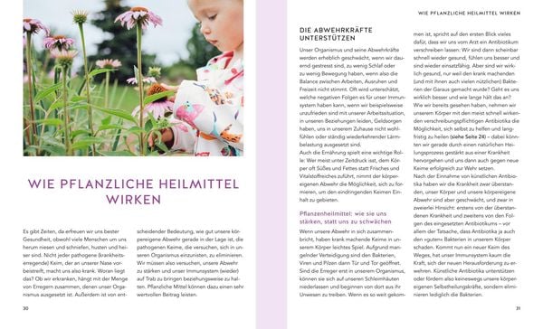 Produktbild: Pflanzliche Antibiotika