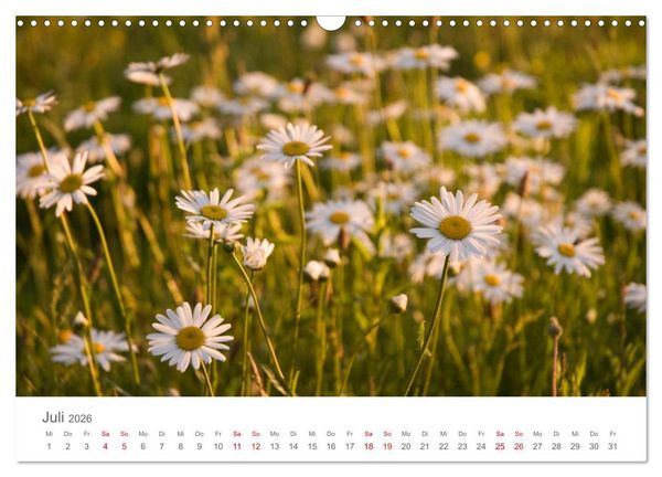 Produktbild: Nordisch gut - Schweden (Wandkalender 2026 DIN A3 quer), CALVENDO Monatskalender
