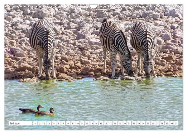Produktbild: Namibia, Faszination W&uuml;ste und Tierwelt (Wandkalender 2026 DIN A3 quer), CALVENDO Monatskalender