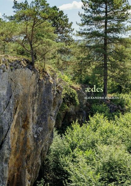 Produktbild: Aedes