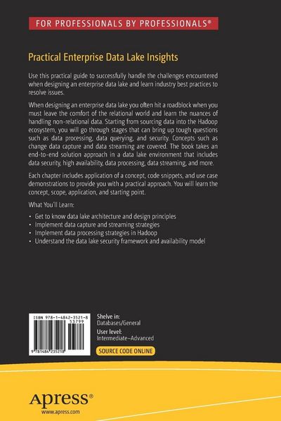 Produktbild: Practical Enterprise Data Lake Insights