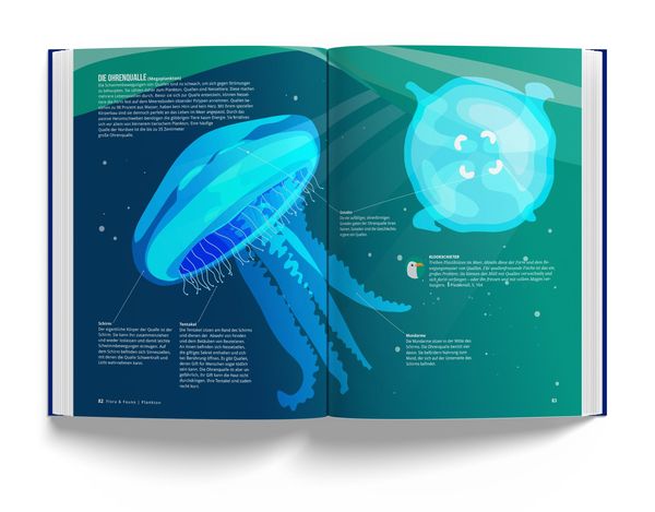 Produktbild: Das Nordseebuch