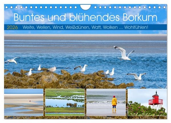 Buntes und blühendes Borkum (Wandkalender 2026 DIN A4 quer), CALVENDO Monatskalender