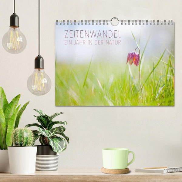 Produktbild: Zeitenwandel - Ein Jahr in der Natur (Wandkalender 2026 DIN A4 quer), CALVENDO Monatskalender