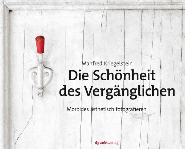 Produktbild: Die Schönheit des Vergänglichen