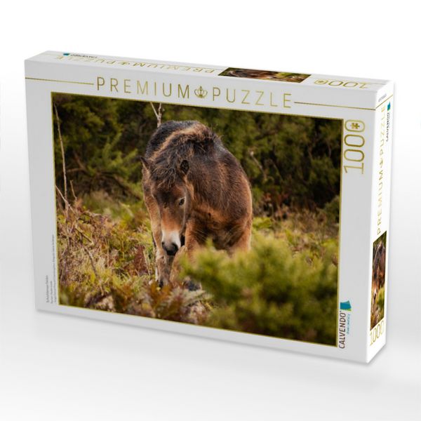 Produktbild: CALVENDO Puzzle Sch&uuml;chternes Fohlen | 1000 Teile Lege-Gr&ouml;&szlig;e 64x48cm Foto-Puzzle f&uuml;r gl&uuml;ckliche Stunden