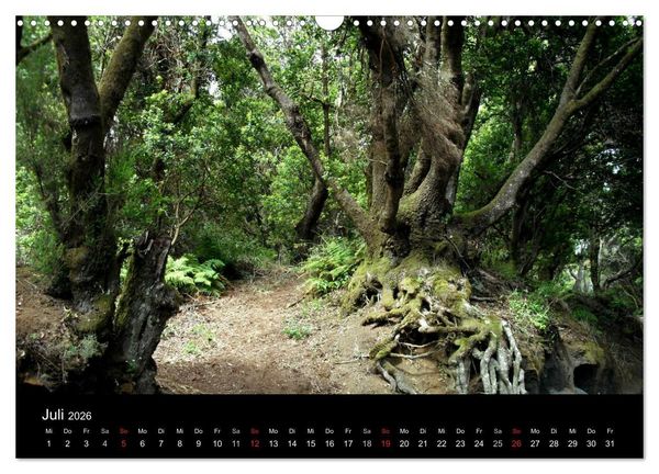 Produktbild: Insel El Hierro - Perle der Kanaren (Wandkalender 2026 DIN A3 quer), CALVENDO Monatskalender