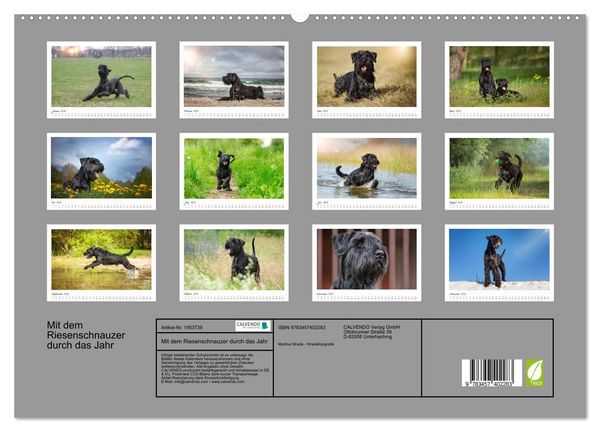 Produktbild: Mit dem Riesenschnauzer durch das Jahr (hochwertiger Premium Wandkalender 2026 DIN A2 quer), Kunstdruck in Hochglanz