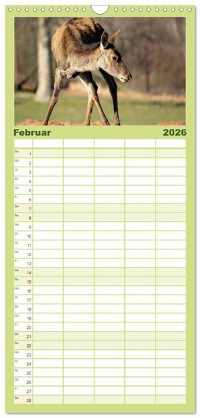 Produktbild: Familienplaner 2026 - Hirsche - K&ouml;nige des Waldes mit 5 Spalten (Wandkalender, 21 x 45 cm) CALVENDO