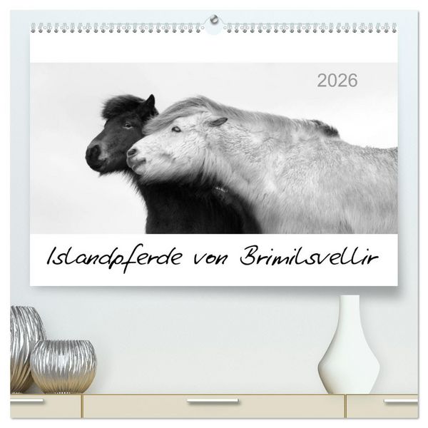 Produktbild: Islandpferde von Brimilsvellir (hochwertiger Premium Wandkalender 2026 DIN A2 quer), Kunstdruck in Hochglanz