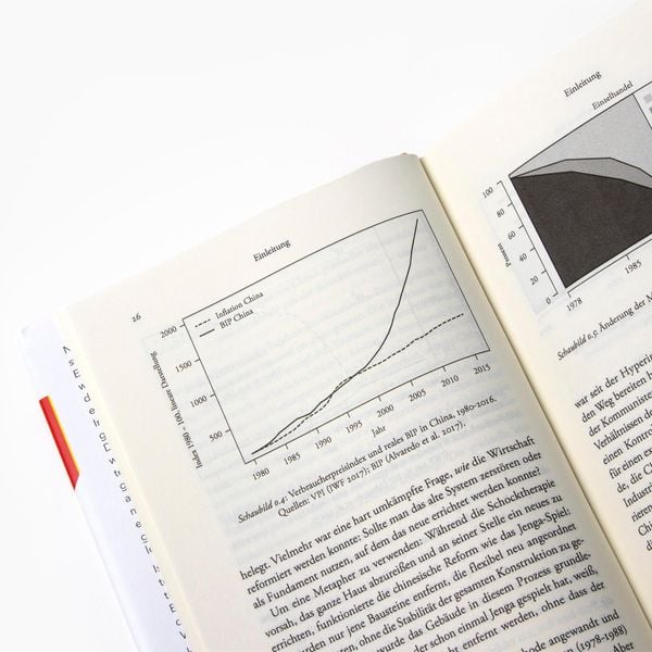 Produktbild: Das Gespenst der Inflation