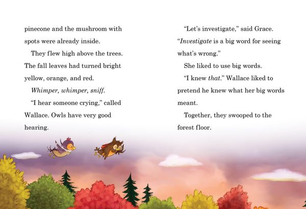 Produktbild: Wallace and Grace and the Lost Puppy