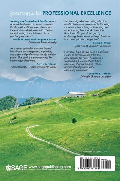 Produktbild: Journeys to Professional Excellence