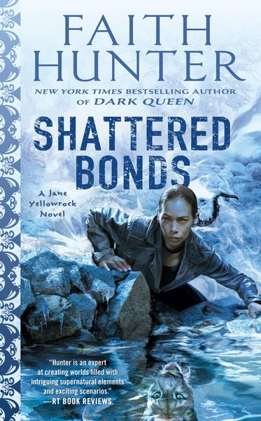 Produktbild: Shattered Bonds