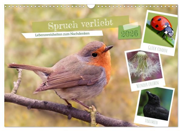 Spruch verliebt (Wandkalender 2026 DIN A3 quer), CALVENDO Monatskalender