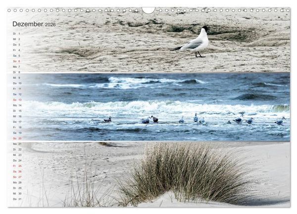 Produktbild: K&uuml;stenstreifen an der Nordsee (Wandkalender 2026 DIN A3 quer), CALVENDO Monatskalender