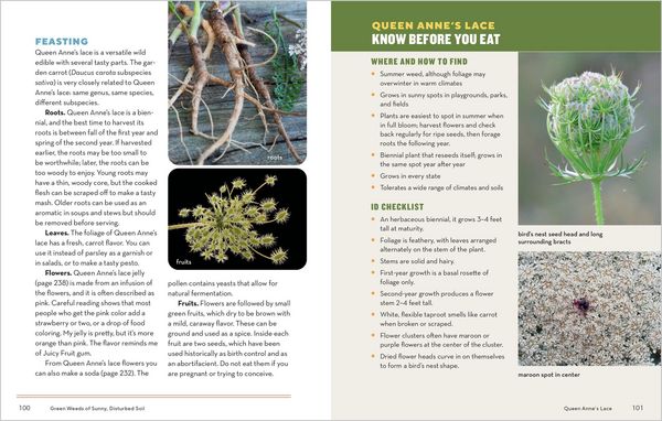 Produktbild: How to Forage for Wild Foods Without Dying