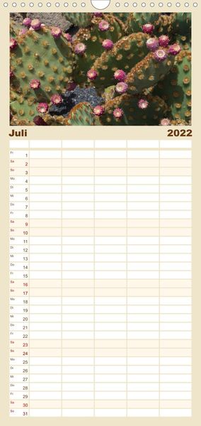 Produktbild: Familienplaner Faszination Kakteen (Wandkalender 2022 , 21 cm x 45 cm, hoch)