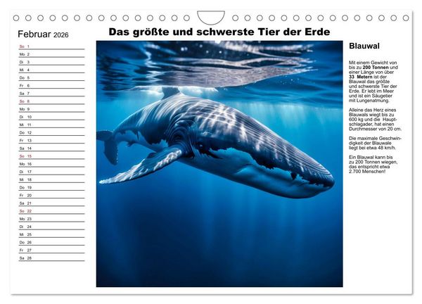 Produktbild: Tierische Rekorde (Wandkalender 2026 DIN A4 quer), CALVENDO Monatskalender