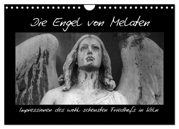 Produktbild: Die Engel von Melaten (Wandkalender 2026 DIN A4 quer), CALVENDO Monatskalender
