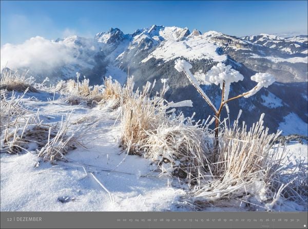 Produktbild: Alpen - Edition Alexander von Humboldt Kalender 2026
