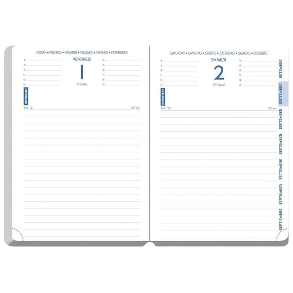 Produktbild: Sch&uuml;lerkalender Forum Office Winner 2026 / 2027