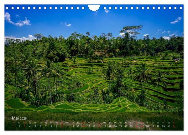 Produktbild: Bali - Insel der Tempel, G&ouml;tter und D&auml;monen (Wandkalender 2026 DIN A4 quer), CALVENDO Monatskalender