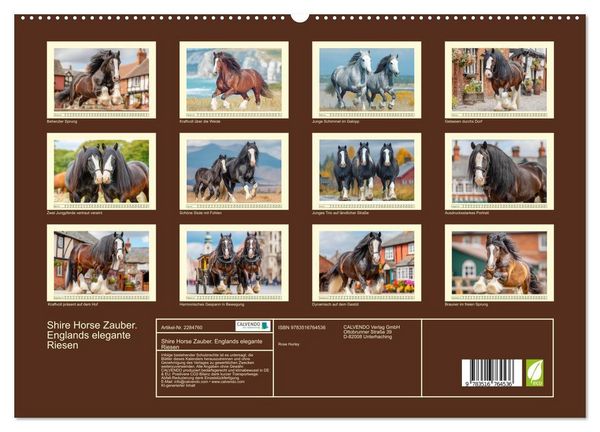 Produktbild: Shire Horse Zauber. Englands elegante Riesen (hochwertiger Premium Wandkalender 2027 DIN A2 quer), Kunstdruck in Hochglanz