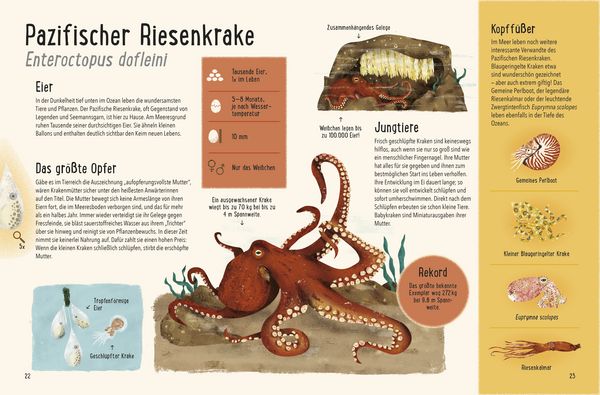 Produktbild: Frisch geschl&uuml;pft! - Tiere und ihre Eier