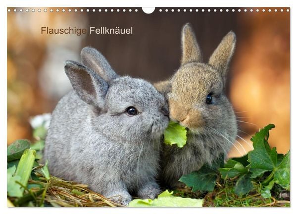 Produktbild: Flauschige Fellkn&auml;uel (Wandkalender 2026 DIN A3 quer), CALVENDO Monatskalender