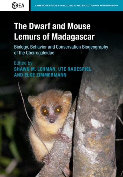 Produktbild: The Dwarf and Mouse Lemurs of Madagascar