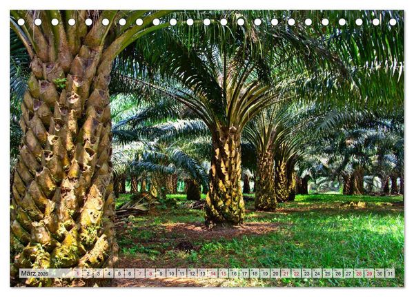 Produktbild: S&atilde;o Tom&eacute; - Inselparadies am &Auml;quator (Tischkalender 2026 DIN A5 quer), CALVENDO Monatskalender