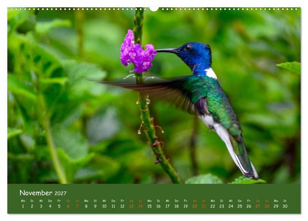 Produktbild: Costa Rica - Naturparadies zwischen Karibik und Pazifik (Wandkalender 2027 DIN A2 quer), CALVENDO Monatskalender