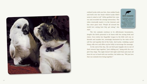Produktbild: Unlikely Friendships