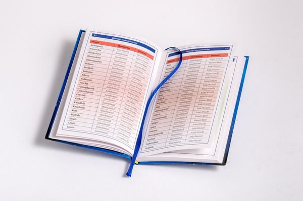 Produktbild: Mit dem Mond leben 2026