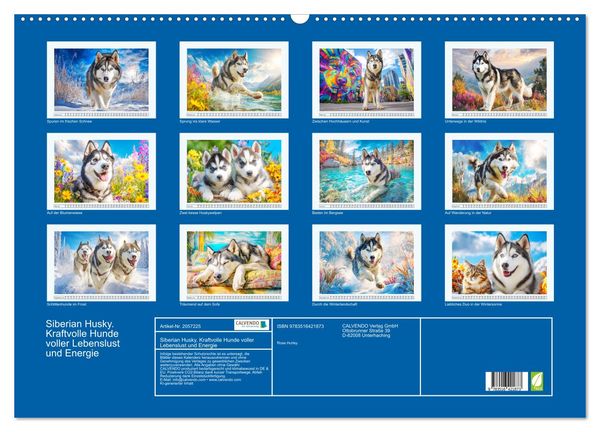 Produktbild: Siberian Husky. Kraftvolle Hunde voller Lebenslust und Energie (Wandkalender 2026 DIN A2 quer), CALVENDO Monatskalender