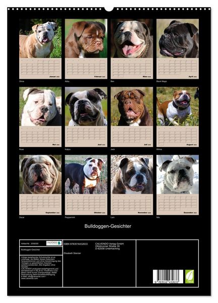 Produktbild: Bulldoggen-Gesichter (hochwertiger Premium Wandkalender 2026 DIN A2 hoch), Kunstdruck in Hochglanz