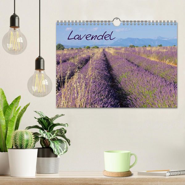 Produktbild: Lavendel (Wandkalender 2026 DIN A4 quer), CALVENDO Monatskalender