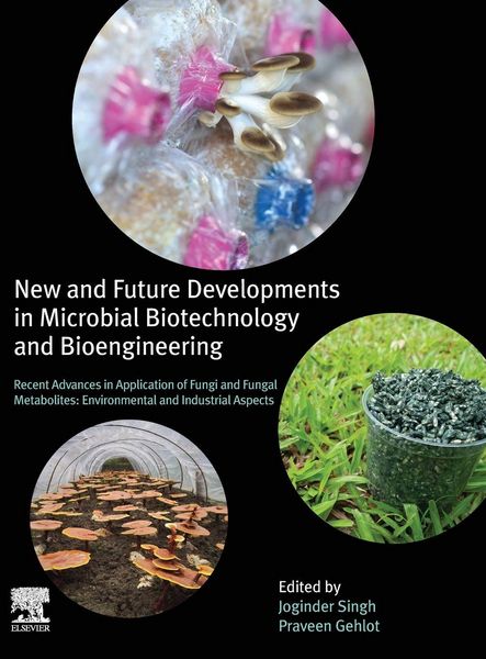 Produktbild: New and Future Developments in Microbial Biotechnology and Bioengineering