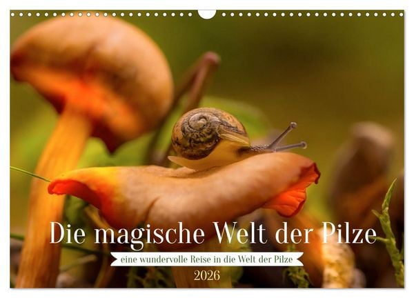 Die magische Welt der Pilze (Wandkalender 2026 DIN A3 quer), CALVENDO Monatskalender