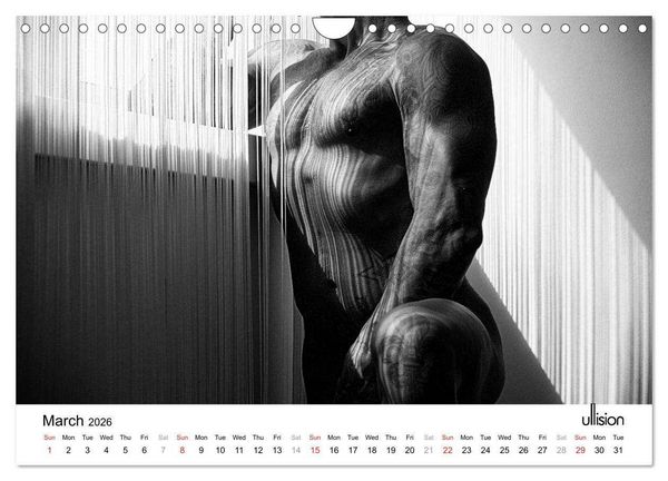Produktbild: Male Nude Art (Wall Calendar 2026 DIN A4 landscape), CALVENDO 12 Month Wall Calendar