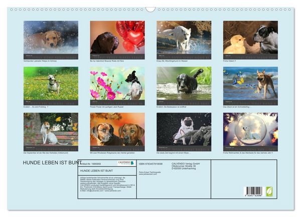 Produktbild: HUNDE LEBEN IST BUNT (Wandkalender 2026 DIN A2 quer), CALVENDO Monatskalender