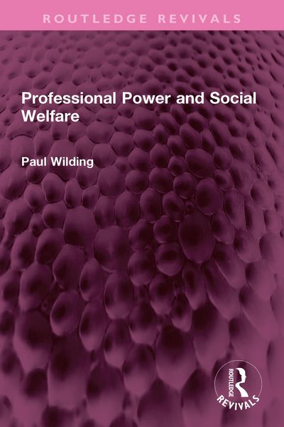 Produktbild: Professional Power and Social Welfare